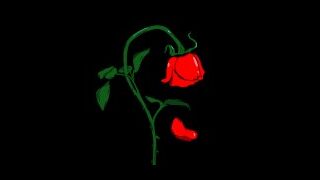 Thewiltingrose