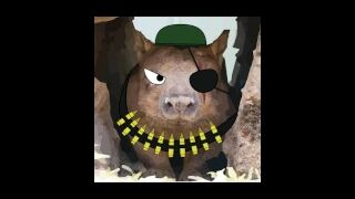 Thatcombatwombat