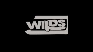Wildporntv