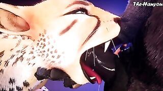 The Sexy Kitten – Wild Life 4K
