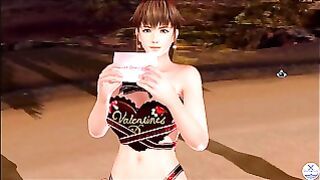 Dead Or Alive Xtreme Venus Vacation Hitomi Valentine’s Day Pose Cards Fanservice Appreciation