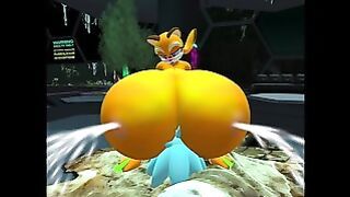 Marine The Raccoon X Sonic Oc