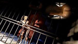 Metroid – Samus And The Minotaur