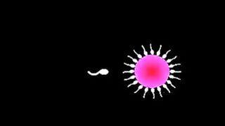 ” A Touch Sensitive” On Artist: Super Furry Animals