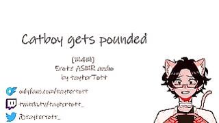 Catboy Gets Pounded M4M Yaoi Hentai Erotic Asmr Audio Full Version