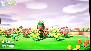 Squirting at Your Flowers in Animal Crossing Tonight