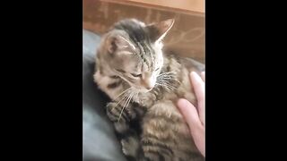 Rubbing My Wife's Pussy