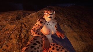Camping | Furry | Wild life
