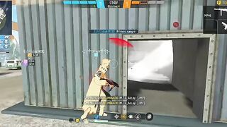 Jugando con seguidores