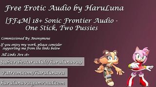 18+ Audio - One Stick, Two Pussies