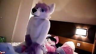 Furry gets Fucked in the Ass
