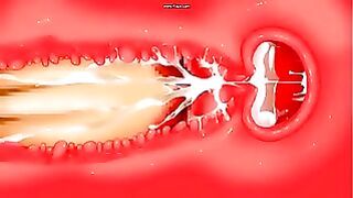 hentai internals & xrays compilation 1