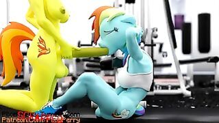 rainbow dash and her workout routine (futa mlp animation)