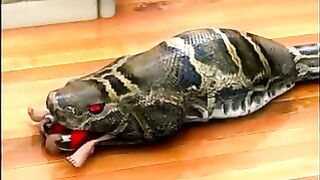 Voreville – Cindy Eaten By Big Snake Ass First(5 Angles)