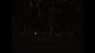 PARADE BUSTER - STAGE 1 + LOSS SCENES [NO COMMENTARY]