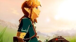 3d Anime Legend Of Zelda Breath Of The Crazy + Link