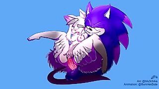 Werehog Sonic Fucks Emyko (sonic The Hedgehog)