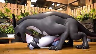 Dragon Knot Dolphin Hardcore Fuck Semen