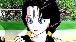 Dragon Ball Z – Videl 3d Anime