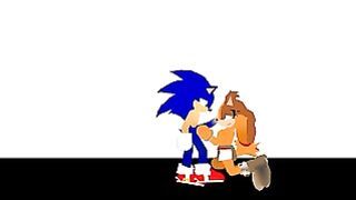 Sonic Fucks Sticks