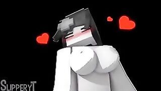 Minecraft Meme Jenny Slypperyt