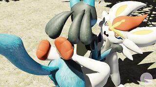 Cinders on the groin Queen Blush