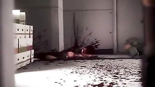 Legendado Pt-br Kunoichi 2 Fall of the Shirinemaiden – Studiofow