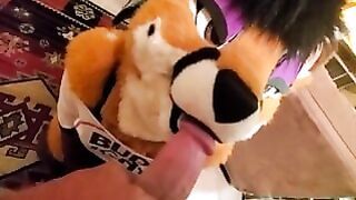 Furries Memes Clips Furry Yiff