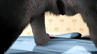 Wolf plays with a little dragon