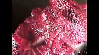 A Third Dimension- Tiny Ballerina – Hina Bitch