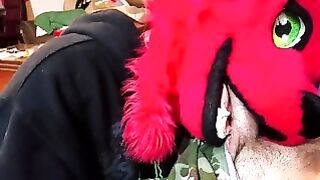 Dumb Bitch Fox Puts Dick in Her Mouth