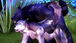 Rahn the Wolf anal Knots Cums inside Female Wolf Wild Life Furries