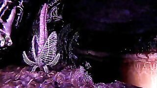 Lust from Beyond Part 4
