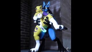 Lucario X Renamon Furry Sex Furry animation Big Cock Lucario X Renamon Furry Renamon Pokemon Lucario Furry animation