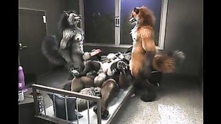 Werewolf Party Hd By H0rs3