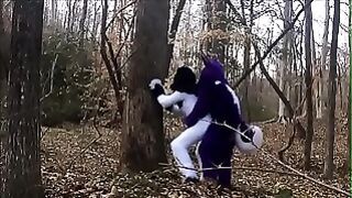 Fursuit Couple Mating in Woods