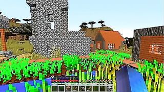 Minecraft Play: Discovered A Village and Walked Around It A Little