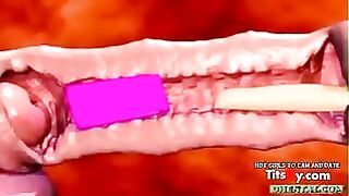 Milf Sex 3D Hentai Sex