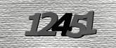 Captcha resmi