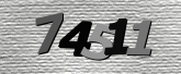 Captcha resmi