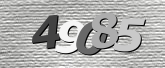 Captcha resmi