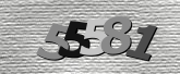 Captcha resmi