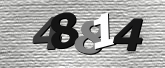 Captcha resmi